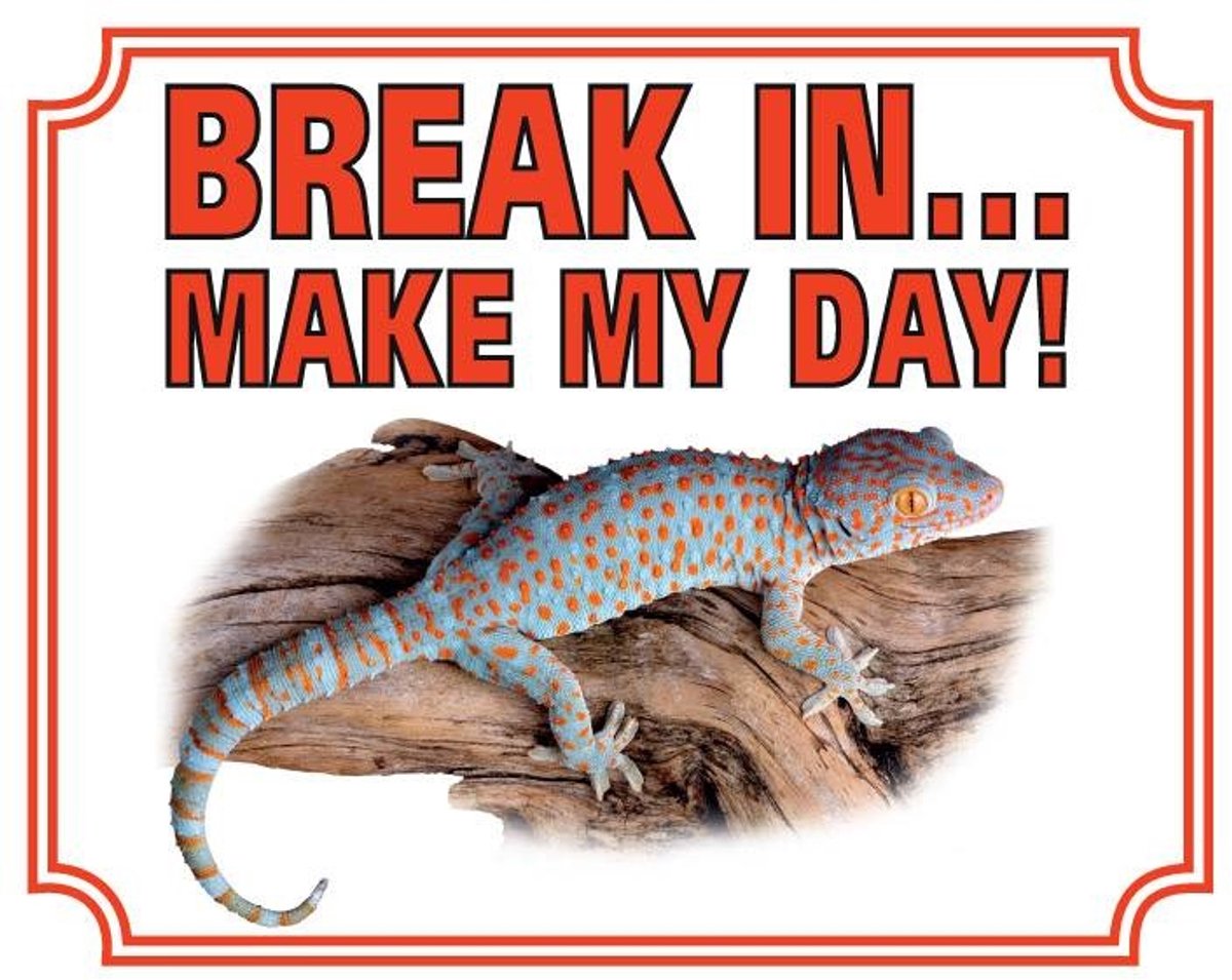 Bol.com Waakbord - 84 - Gekko - 20x25 cm aanbieding