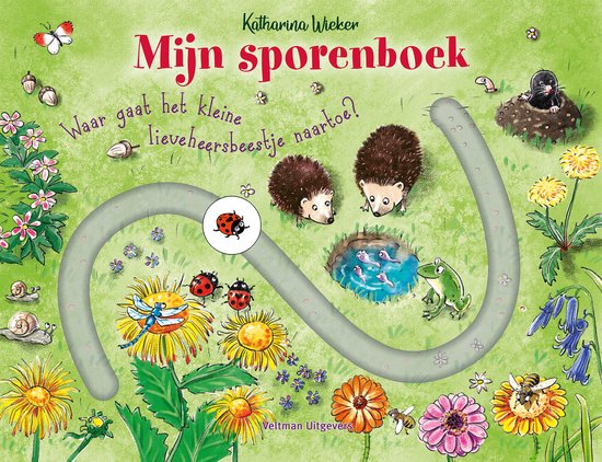 Mijn sporenboek - cover