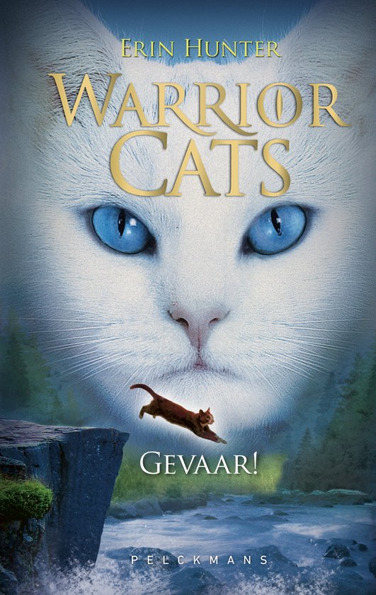 Gevaar