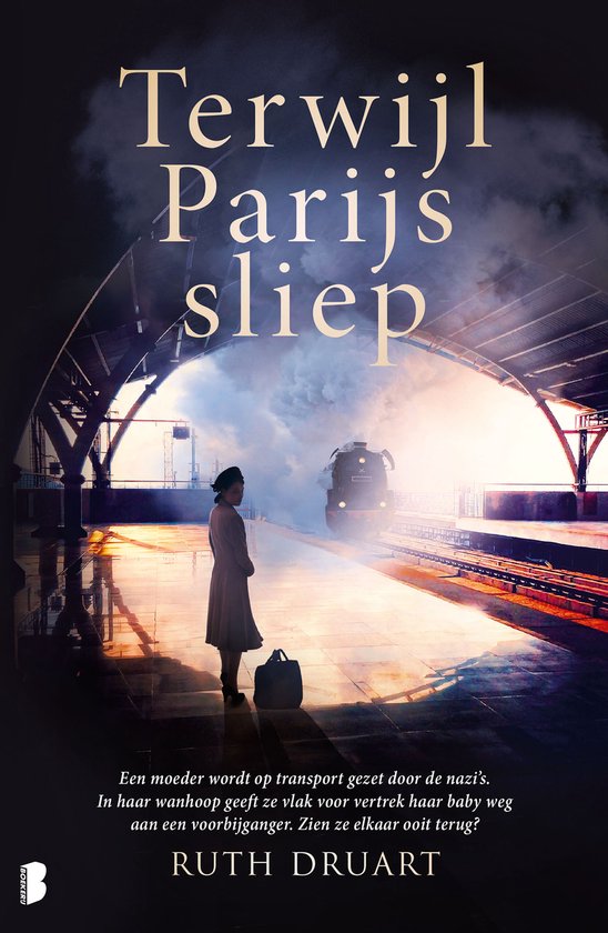 Terwijl Parijs sliep - cover