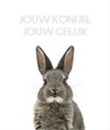 Jouw konijn, jouw geluk