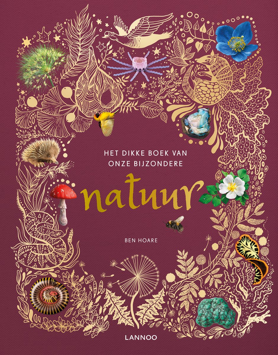 Omslag van Het dikke boek van onze bijzondere natuur