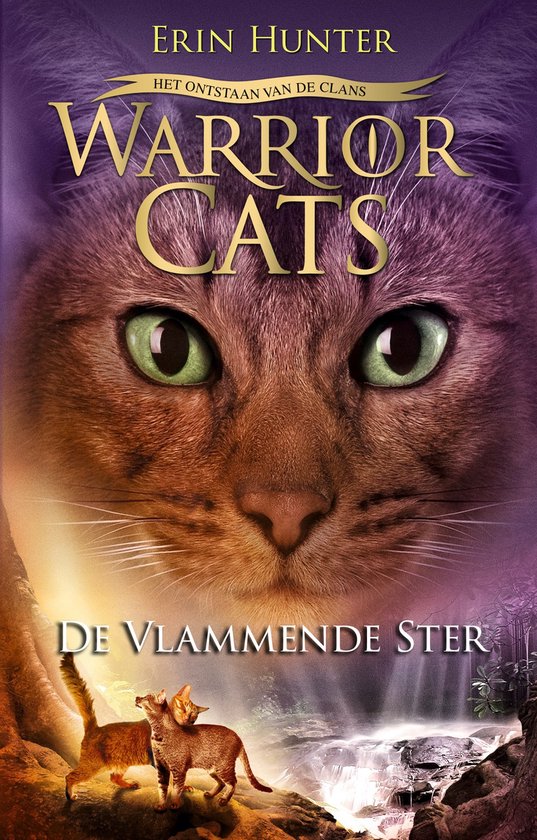 9789059249103 - De vlammende ster