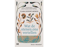Omslag van Wat de stenen ons vertellen