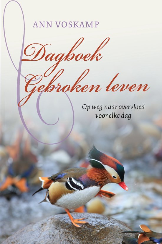 Foto: Dagboek gebroken leven