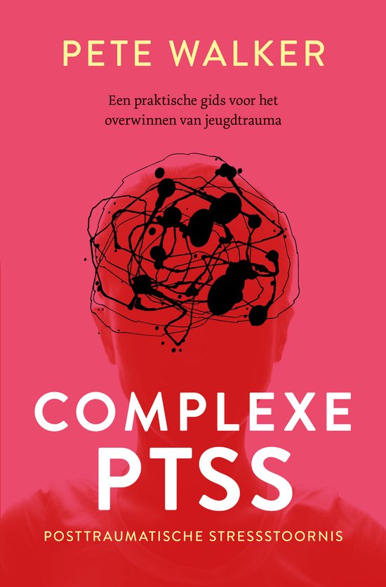 Complexe PTSS - Een praktische gids voor het overwinnen van jeugdtrauma