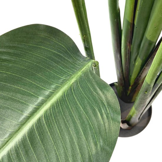 Strelitzia kunstplant deluxe 115cm