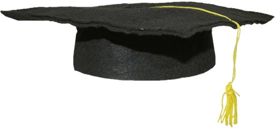 Geslaagd thema hoedje voor kinderen - verkleed feestartikelen - afstudeer hoedje - zwart