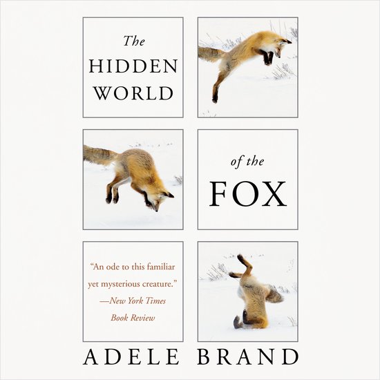 The Hidden World of the Fox - cover