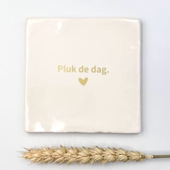 Carrelage - « Saisissez le jour » (blanc cassé)