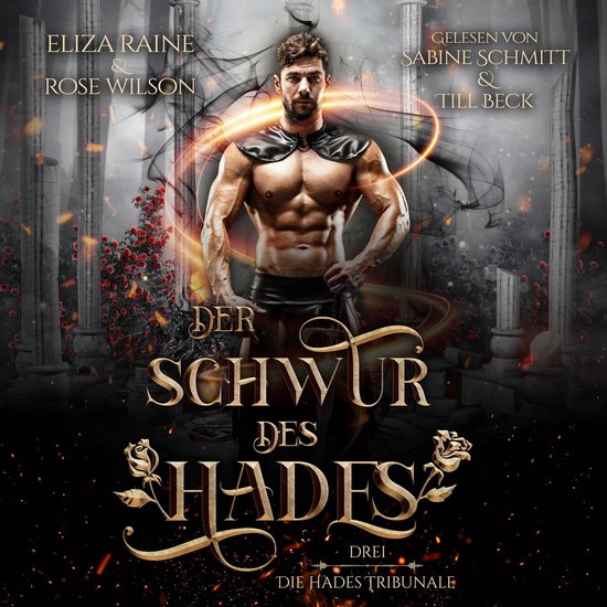 Der Schwur des Hades - Fantasy Hörbuch - cover