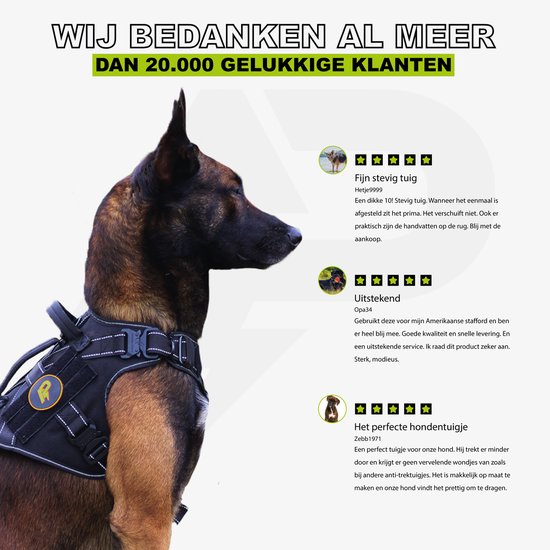 Malteser hond met zwart Always Prepared tuig, 'Fijn stevig tuig' review.