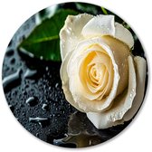 Witte roos met waterdruppels - Roos wandcirkel - Ronde muurdecoratie bloemen - Hyperrealisme - Decoratieve muurcirkels - Wanddecoratie woonkamer - Muurcirkel aluminium 40x40 cm