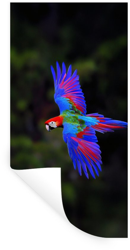 Stickers muraux - Feuille autocollante - Couleurs vives - Perroquet - Forêt - Ailes - 60x120 cm - Film adhésif - Stickers muraux chambre d'enfant - Papier peint autocollant - Papier peint autocollant - Feuille autocollante