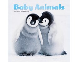 Baby Dieren Mini Kalender 2026