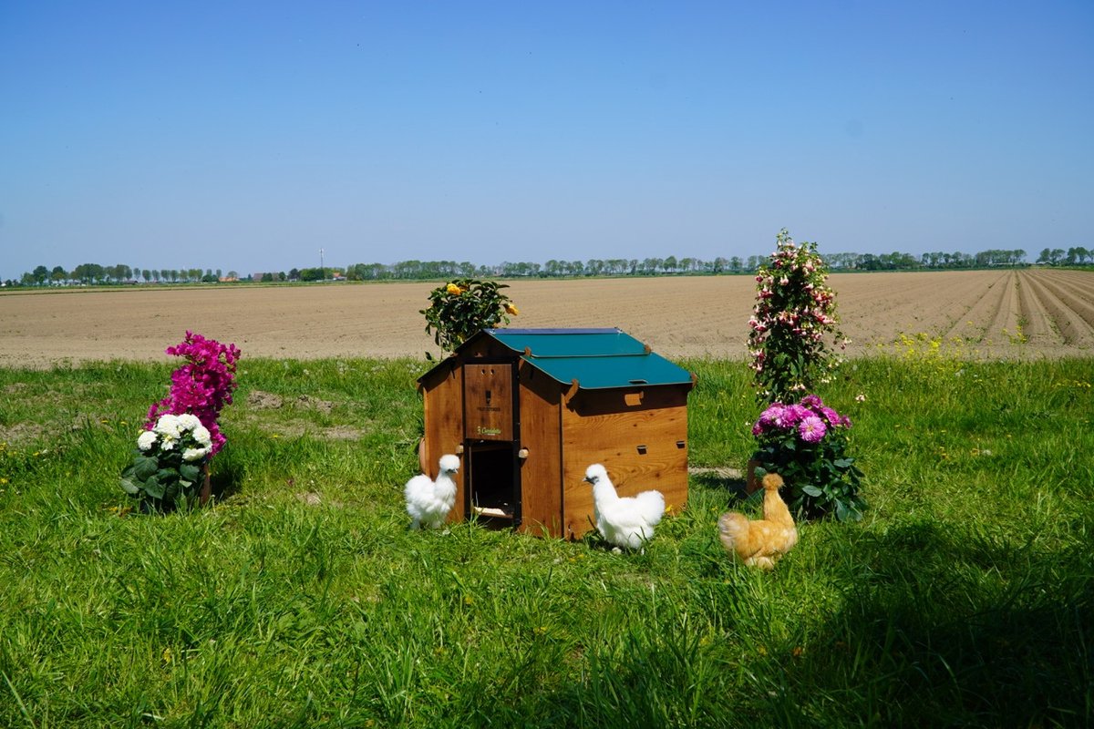 Cucciolotta Kippenhok Polly Farm Mignon