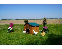 Cucciolotta Kippenhok Polly Farm Mignon