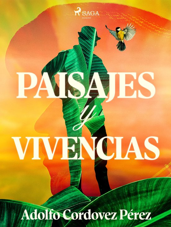 Paisajes y vivencias - cover