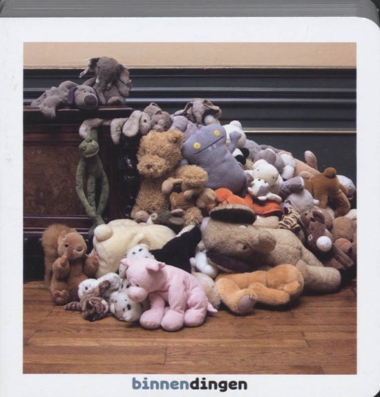 Cover van het boek 'Binnendingen'
