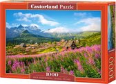 Castorland Legpuzzel Polen Karton - 1000 Stukjes