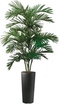 HTT - Kunstplant Areca palm in Clou rond antraciet H200 cm