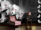 Fotobehang Vlies | Bloemen, Orchidee | Zwart | 368x254cm (bxh)