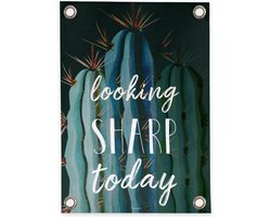 Villa Madelief Tuinposter Cactus - 50x70cm - Vinyl - Tuindecoratie - Tuinschilderij - Schuttingposter - Tuindoek - Buitenposter voor in de tuin - Waterafstotend - Quote Collectie Villa Madelief Tuinposter Cactus - 50x70cm - Vinyl - Tuindecoratie - Tuinschilderij - Schuttingposter - Tuindoek - Buitenposter voor in de tuin - Waterafstotend - Quote Collectie