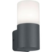 LED Tuinverlichting - Wandlamp - Trion Hosina - E27 Fitting - Mat Zwart - Aluminium