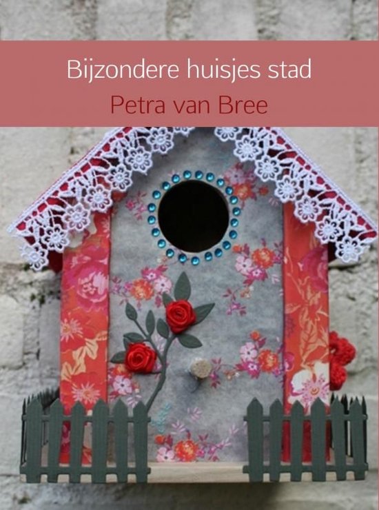 Bijzondere huisjes stad - cover