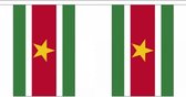 2x Buiten vlaggenlijn Suriname 3 meter - Surinaamse vlag - Supporter feestartikelen - Landen decoratie en versieringen