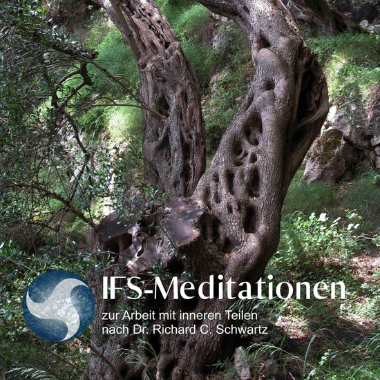 IFS-Meditationen zur Arbeit mit inneren Teilen nach Dr. Rich ... - cover