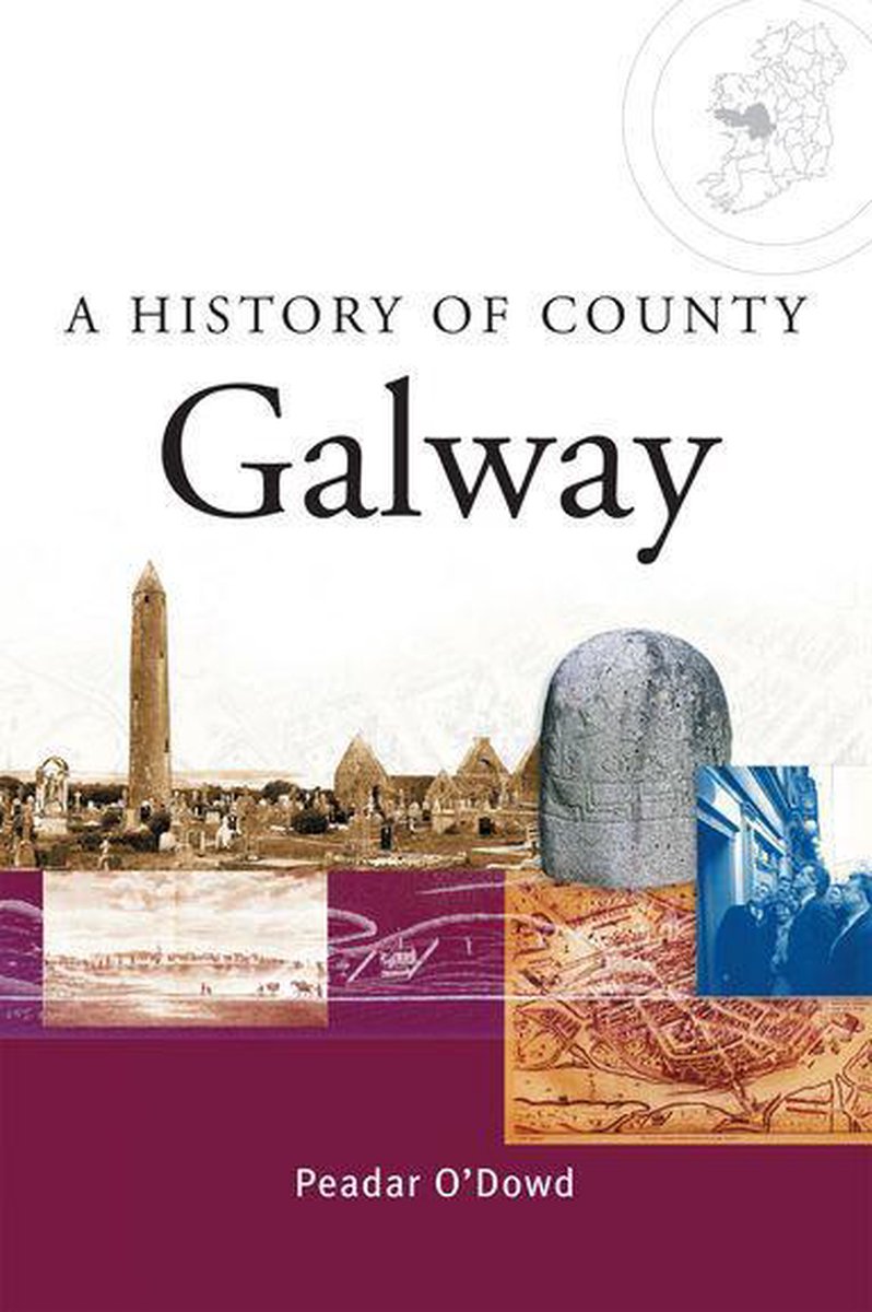 A History of County Galway: A comprehensive study of Galway's history, culture and people - Peadar O'Dowd