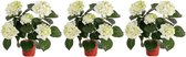3x Kunstplant hortensia plant wit/groen 36 cm -  Kunstplanten/nepplanten