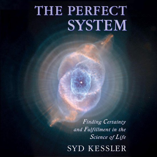 The Perfect System - cover
