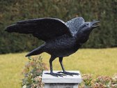 Tuinbeeld - bronzen beeld - Raaf met open vleugels - 38 cm hoog