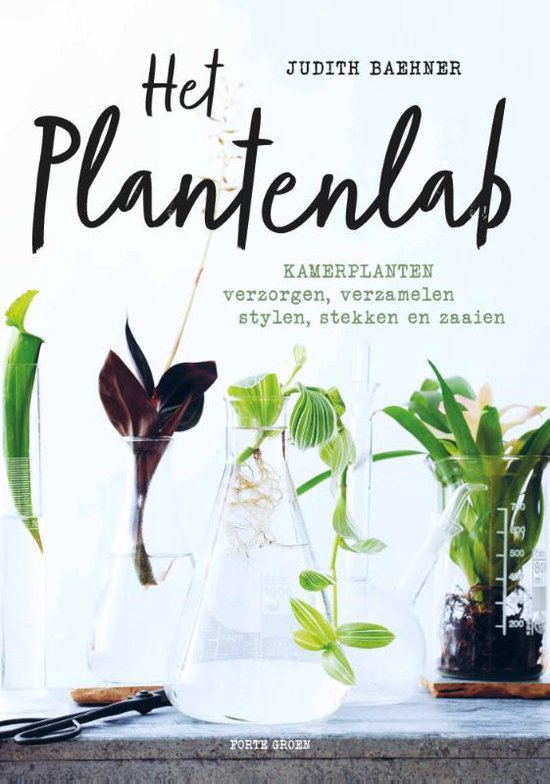 Het plantenlab – Judith Baehner