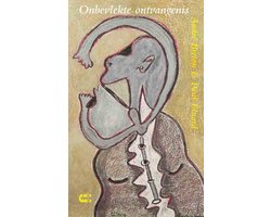 Omslag van Onbevlekte Ontvangenis