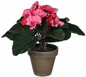 Kunstplant Kaapsviool Roze - H 20cm - Keramiek sierpot - Mica Decorations