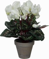 Kunstplant Cyclaam Wit - H 30cm - Keramiek sierpot - Mica Decorations