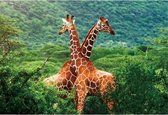 2x Placemats giraffe 3D 28 x 44 cm  - Kinder placemats giraffe - keuken accessoires