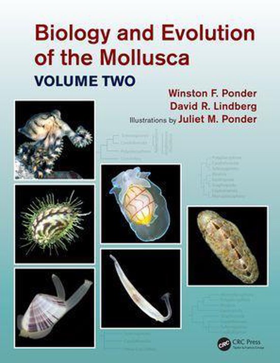 Biology and Evolution of the Mollusca, Volume 2 - cover