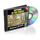 Autumn In The Forest - Relaxation Music and Sounds