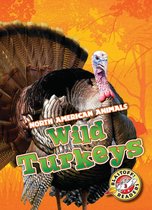 North American Animals - Wild Turkeys