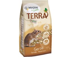 Terra gerbil  à 700 gram