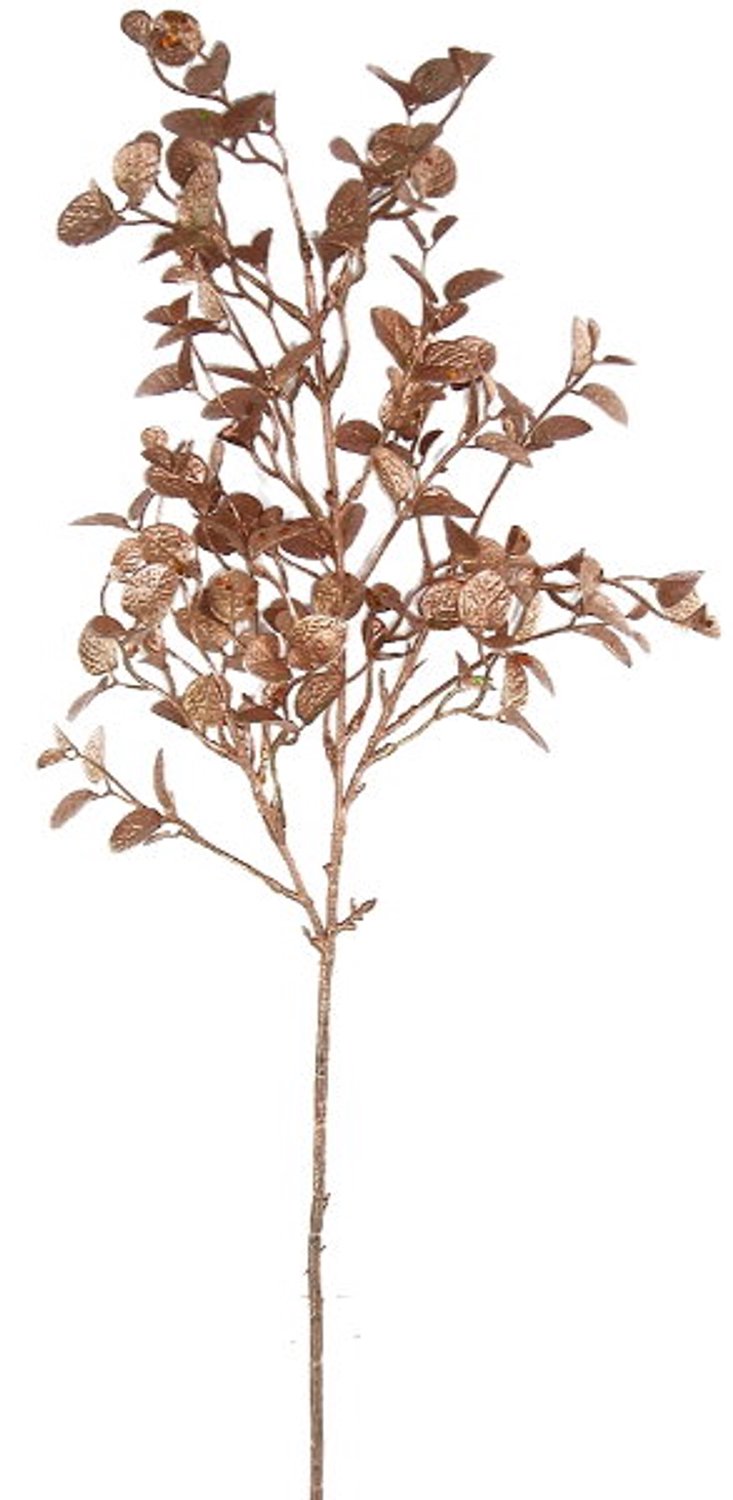 Buitengewoon Boet Kunsttak judaspenning ant.goud, 66 cm Buitengewoon de Boet onbekend