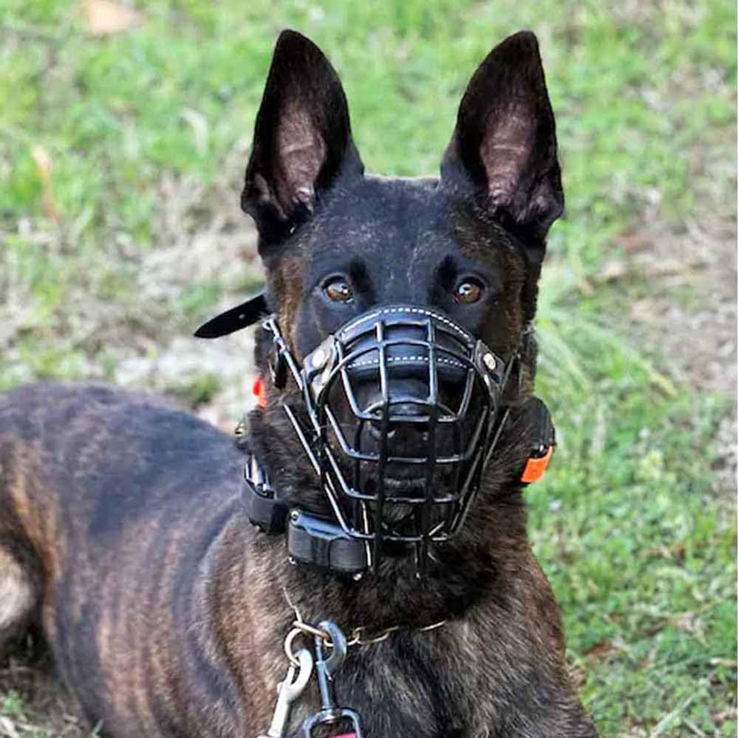 Ergonomische Muilkorf voor Middelgrote Honden