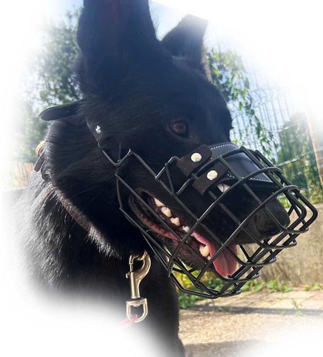 Metalen Muilkorf voor Honden met Verstelbare Leren Riemen