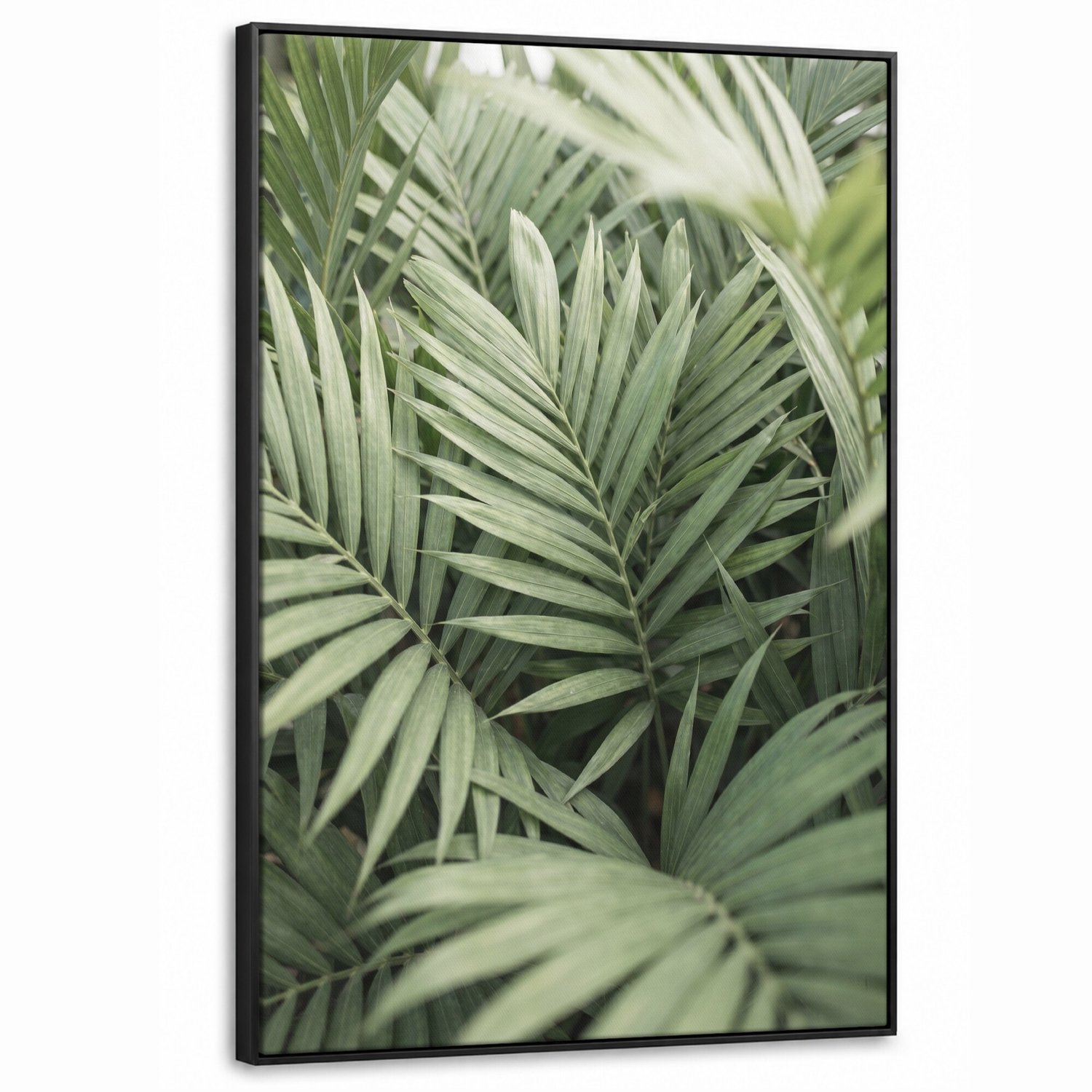 Canvas Schilderij met Baklijst - Plant - Palmbladeren - Natuur - Groen