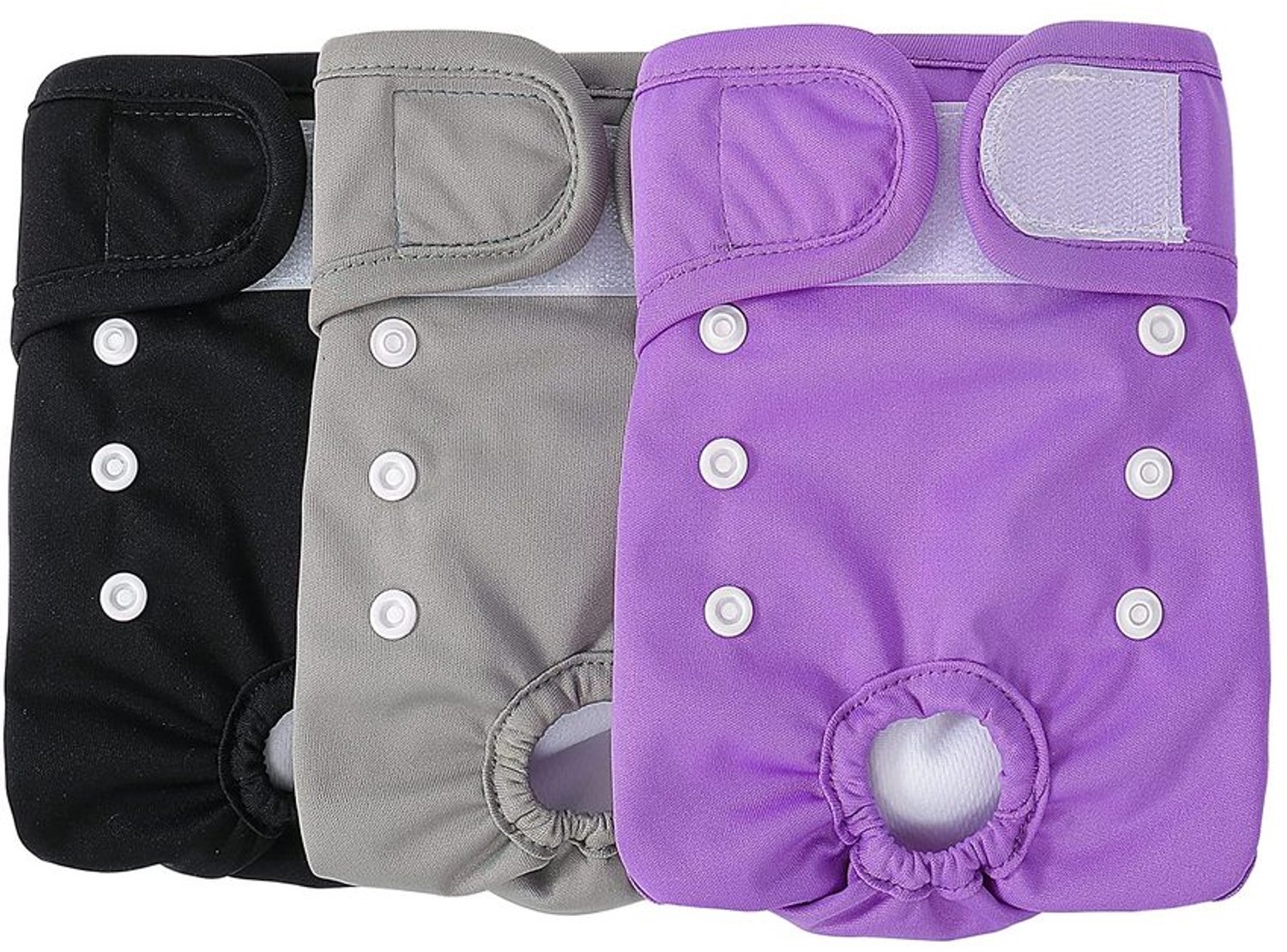 Herbruikbare Hondend diapers Pack van 3 XL Met Purper
