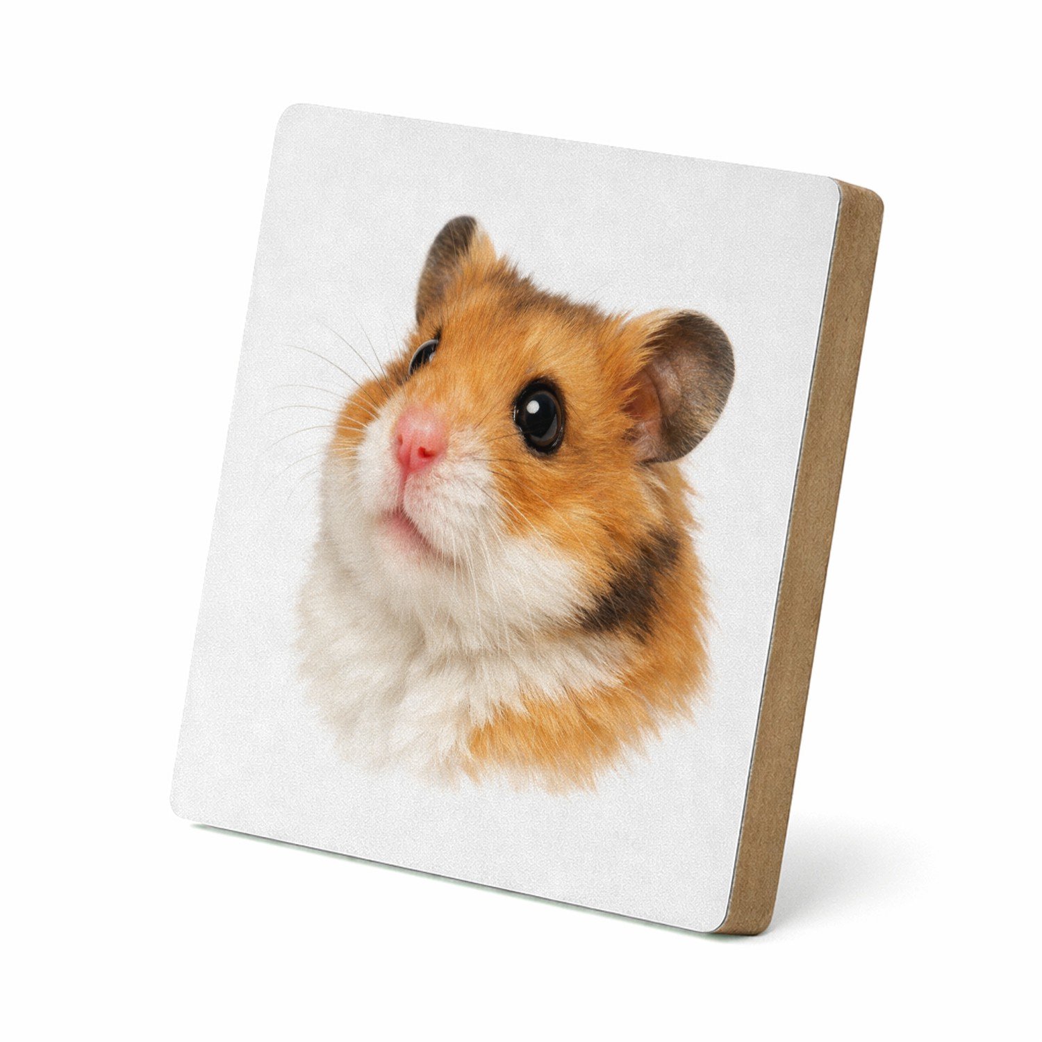 Mr Cadeautjes MDF staande fotolijst 15,2 x 15,2 - design Monumentaal huisdierportret met warme close-up en diepe donk | cadeau Wit